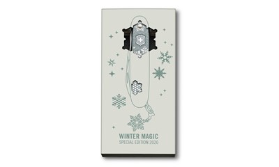 Pioneer X Winter Magic Special Edition 2020