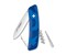 C01 Livor