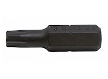 Bit zu SwissTool, Torx 25